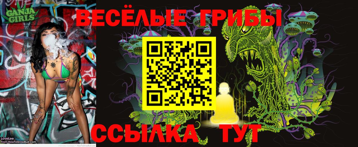 Галлюциногенные грибы мухоморы  Вход с VPN  Зеленодольск 